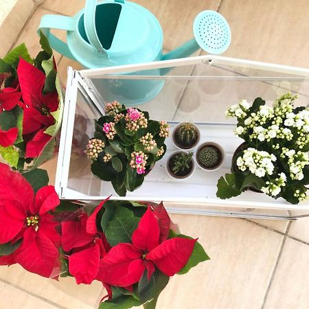 Koukaki Cozy Apartment Атина Екстериор снимка